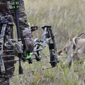 Hoyt Bows