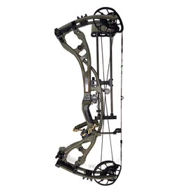Buy Hoyt RX5 Carbon Compound Bow Online Hoyt RX5 Carbon Compound Bow